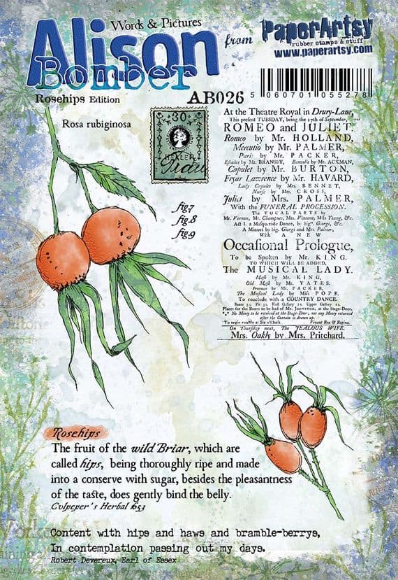 Alison Bomber 026 (Rosehips)