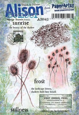Alison Bomber 043 (Winter Teasels)