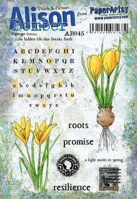 Alison Bomber 045 (Crocus)