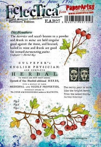 Alison Bomber Set 27 (Hawthorn Edition)