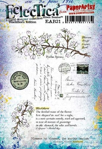 Alison Bomber Set 31 (Blackthorn Edition)