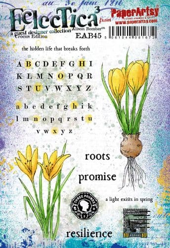 Alison Bomber Set 45 (Crocus Edition)