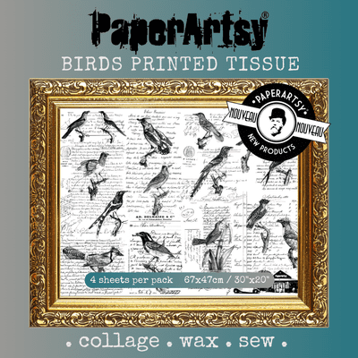 PT11 {Birds}