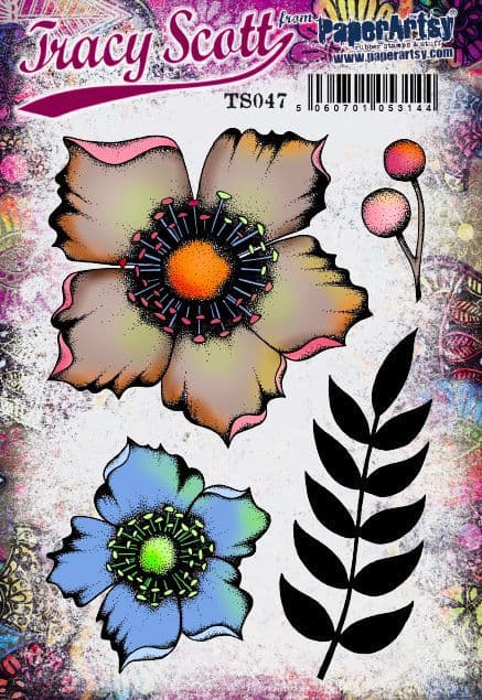 Tracy Scott 047