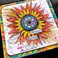 Tracy Scott 054