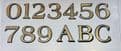 Custom 201 Times New Roman Reverse Cut Gold leaf style Fanlight Numbers  inside glass fitting