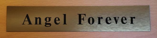 Door NamePlate made to order | Brass effect