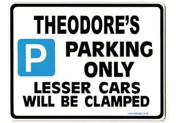 THEODORE'S Personalised Gift |Unique Present for Him | Parking Sign - Size Large - Metal faced