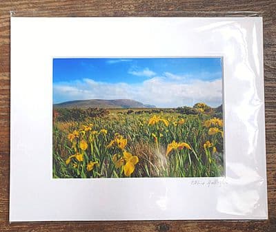 Achill Island 10 x 12 Inch Photo Print