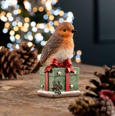 Aynsley Robin And Gift Figurine