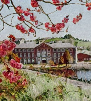 Belleek Pottery Greetings Card