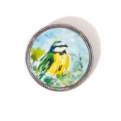 Blue Tit Hand Painted Brooch