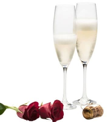 Galway Living Elegance Flutes Pair