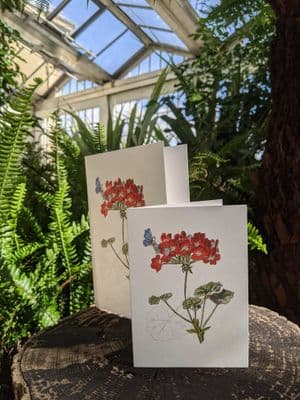 Geranium Card