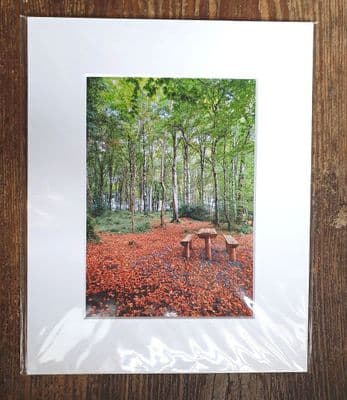 Hazelwood in Autumn 10 x 12 Inch Photo Print