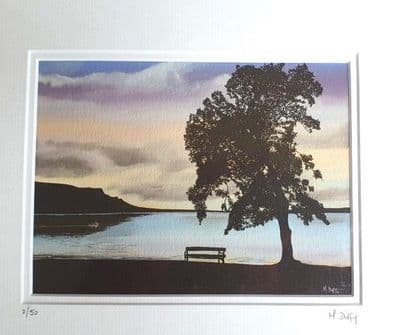 Michelle Duffy Lough Melvin Tree and Bench