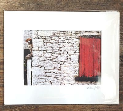 Snoop Dog 10 x 12 Inch Photo Print