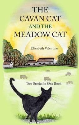The Cavan Cat And The Meadow Cat