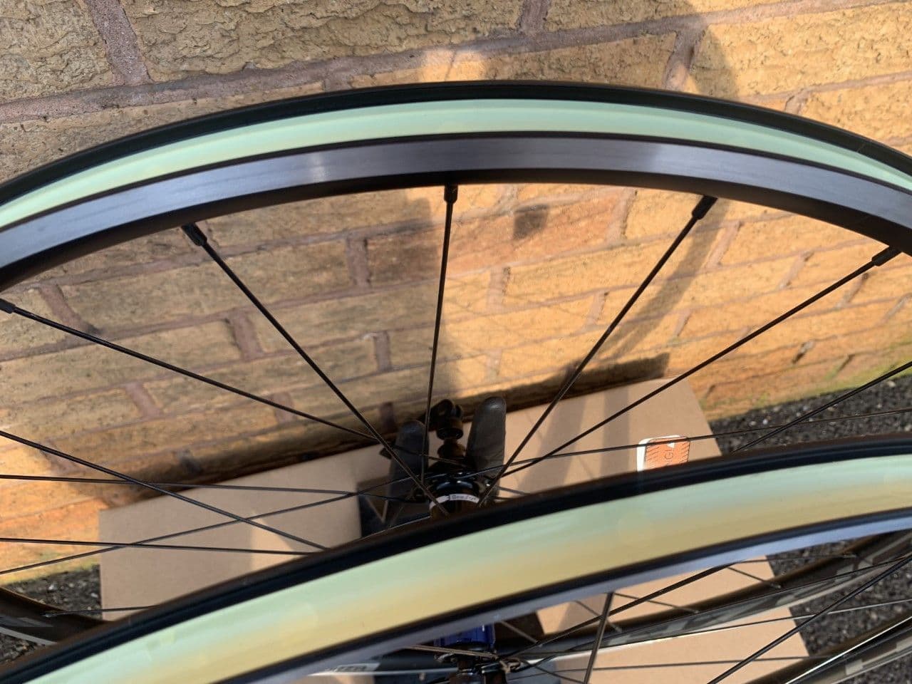 Forza Norte Db – Laufradsatz Forza Norte Tubeless Disc – FOXJX