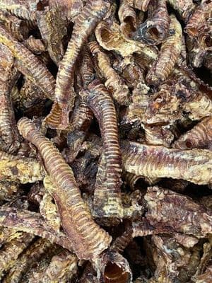 Best British Beef Trachea 1kg - MOO TUBES WINDIES