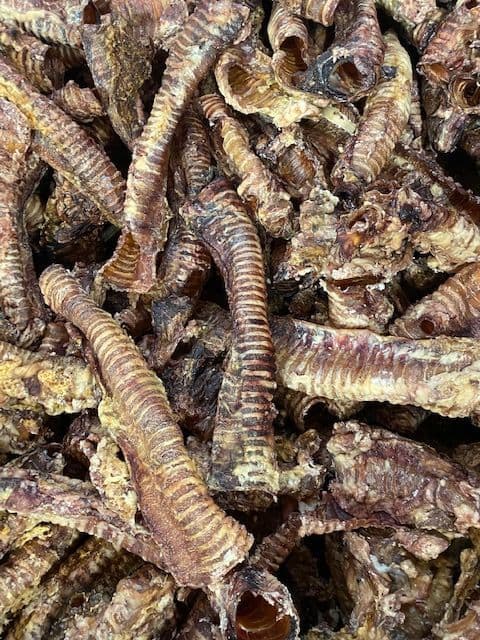Best British Beef Trachea 5kg - MOO TUBES WINDIES