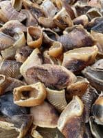 Dried British Cows Hooves 25's