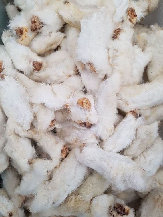 Rabbit Feet with Fur Hair 1kg