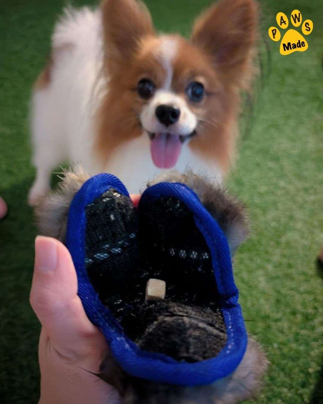 Rainy Day Find The Toy Game