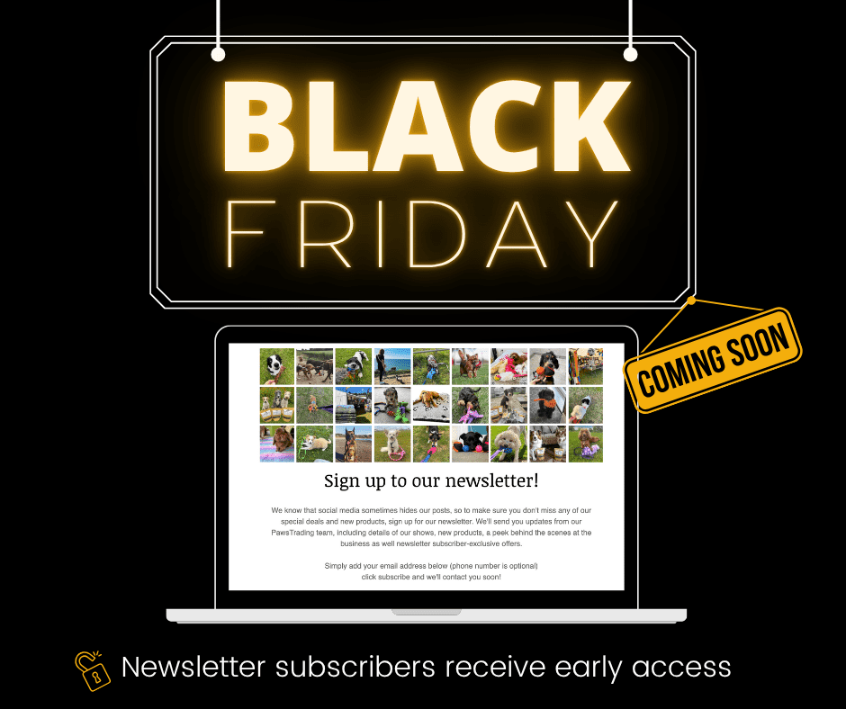 Black Friday - How to Get Early Access