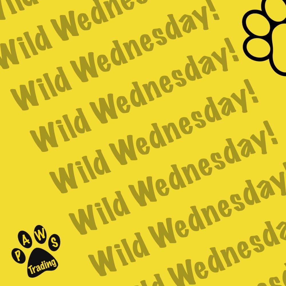 Wild Wednesday - What is it and how can you get involved?
