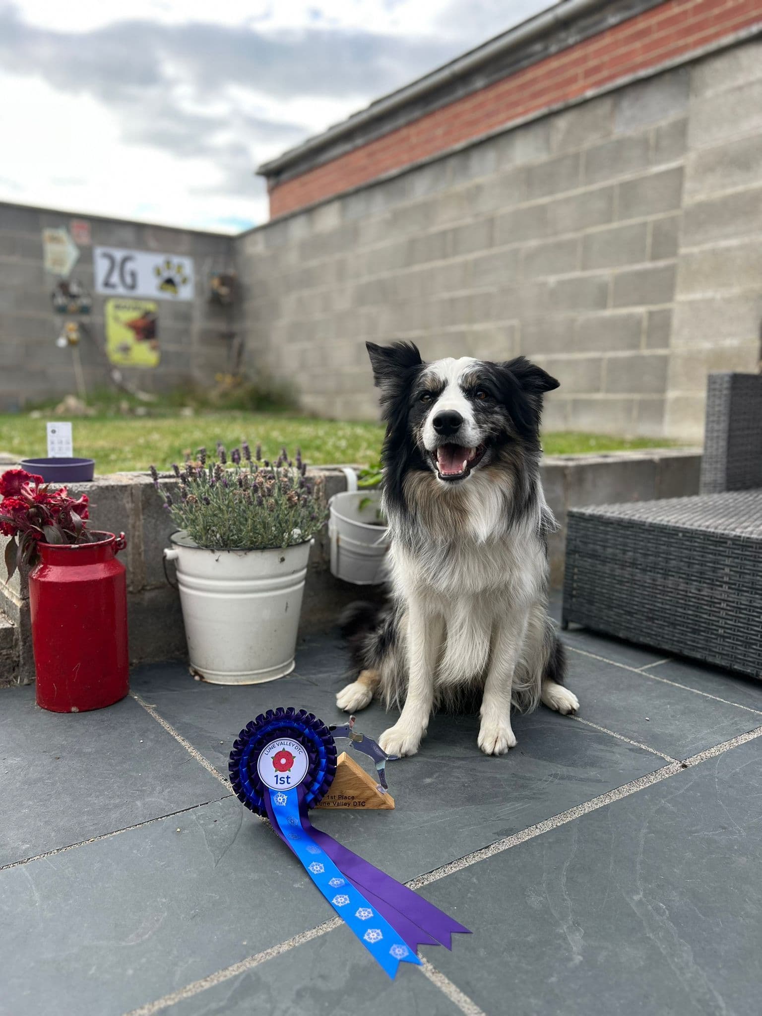 Abee and Figment’s Training