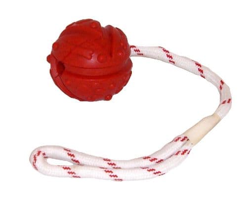 NEW Floating Rubber Ball on a Rope Dog Toy