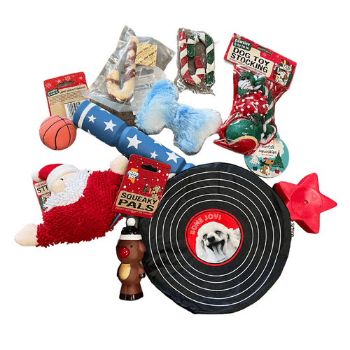 10 BARGAIN BUNDLE Christmas Toys / Treats