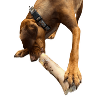 100% Natural Large Beef Marrow Bone Long Lasting Dog Chew