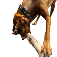 100% Natural Large Beef Marrow Bone Long Lasting Dog Chew