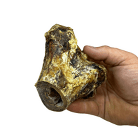 100% Natural Ostrich KNUCKLE Bone Long Lasting Dog Chew