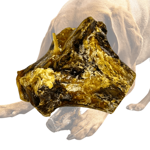 100% Natural Ostrich KNUCKLE Bone Long Lasting Dog Chew