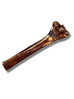 100% Natural Ostrich Metatarsus Bone