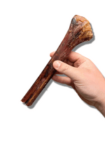 100% Natural Ostrich Metatarsus Bone