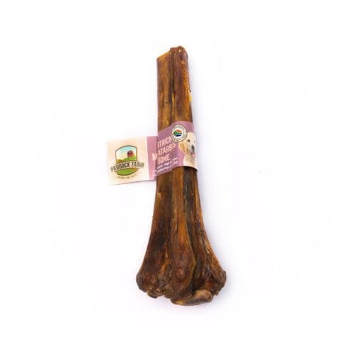 100% Natural Ostrich Metatarsus Bone