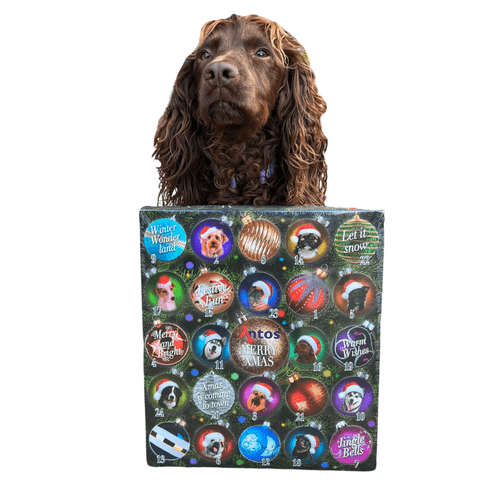 Antos Natural Advent Calendar For Dogs