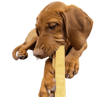Bargain Yak Dog Chew Large or Medium Pack of 4!