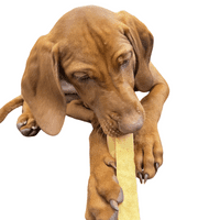 Bargain Yak Dog Chew Large or Medium Pack of 4!