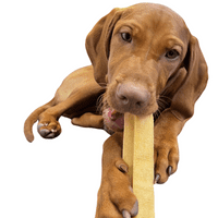 Bargain Yak Dog Chew Large or Medium Pack of 4!