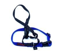 Blackdog HALTERMATE Black Dog head Collar From Behind - Size 1 - 5