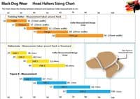 Blackdog HALTERMATE Black Dog head Collar From Behind - Size 1 - 5