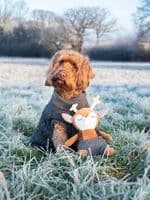 Cupid & Comet Robbie Reindeer Christmas Soft Plush Dog Toy Brown 21cm x 40cm