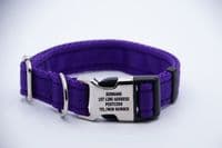 Dog Activity Collar With Engraved Buckle Pet ID Collar