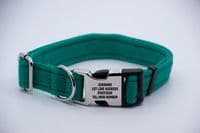 Dog Activity Collar With Engraved Buckle Pet ID Collar