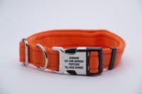 Dog Activity Collar With Engraved Buckle Pet ID Collar
